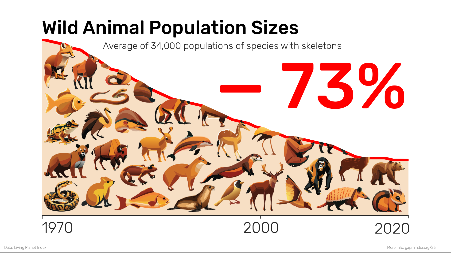 Wild Animal Population decline